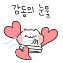 키텐 이미지
