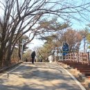 등산로 없는 산 이미지