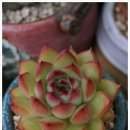 블루핑거(주) 이미지