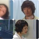 퍼뮤니케이션(주) | [펌] 아일랜드 폐인 '알랜', 51일간의 기록.