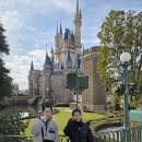 앤앤지랩주식회사 | 도쿄 디즈니랜드 DPA 놀이기구 추천순서 이용 꿀팁 초간단 정리