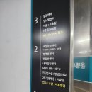 난소물혹제거 복강경수술 후기(송파민트병원 기경도원장님)
