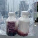 달빙샌드 이미지