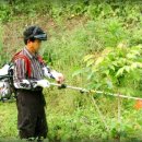 배감농장 이미지