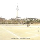 야구장2 이미지