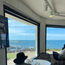 백패커스빌라제주 | 7월말 4박5일 제주여행🍊 1탄