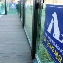 신원동물메디컬센터 이미지