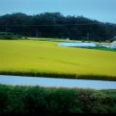 명가한옥 이미지