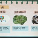 창원숲유치원 이미지