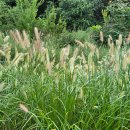 자양식당 이미지