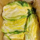 요섭농장 이미지