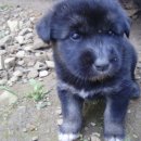 순종1농장 이미지