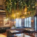 석촌가든 이미지