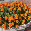 산격1동 행정복지센터 앞 이미지