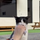 강촌황토찜질방 이미지