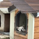 이티성영토 | 청주 이티성풀빌라&amp; 이티성 더글램 / 패밀리 스위트 A 202동 방문 후기