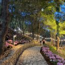 애니카랜드서진주점 | [진주 수국 명소]월아산 숲속의 진주,아이와 함께 밤산책으로 딱! 예쁜 조명 아래 빛나는 수국들과 함께...