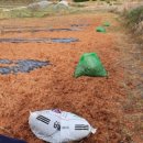 착한농장 이미지