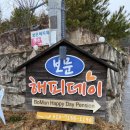 경주애견펜션 해피데이해피독 이미지