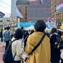 팀피(TEAM-P) 이미지