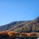 운문댐하류보4 | 청도 운문댐 하류보 무료 캠핑 방문 후기 가을 구경