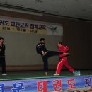 호신태권도 이미지
