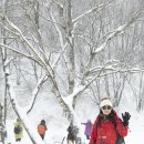 성철목장 이미지