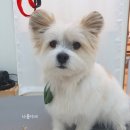 나봄스파 이미지