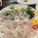 본섬조개마을태장점 | 원주 태장동 맛집 모듬막회와 물회 &lt;본섬조개마을 태장점&gt;