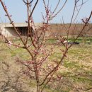 나주유도관 이미지