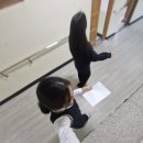 사랑아왜도망가
