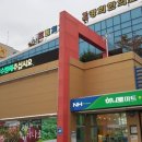 강구농협하나로마트 앞 이미지