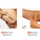 Body Boom 이미지