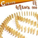 도미노월드 쇼핑하우