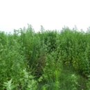 부곡리마을회관 이미지