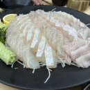 더피쉬 이미지