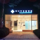 워너비동물병원 용산점 | 용산동물병원 꼼꼼하게 신체검사하는 이유