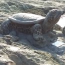 장승초등학교(병설) 이미지