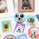 댕댕이냥 이미지