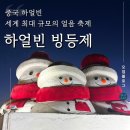 아시아게임랜드 | 중국 하얼빈 빙등제 방문 후기 (티켓 구입 및 가는 방법, 복장 팁)