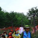 애플B유치원 이미지