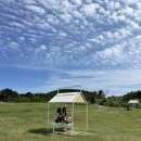 위드목장 이미지