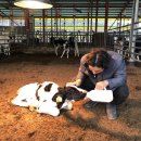 늘봄목장 이미지