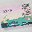 호랑제과 | 영주 빵집 풍기 호랑제과 사과빵 택배 후기