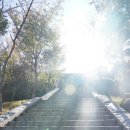 황소맛고 | 여수 : 맛나게장, 오동도, 여수맛집, 라이라이, 돌산대교, 여수야경, 히든베이, 향일암