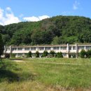 아침향기 이미지