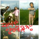 태기목장 이미지