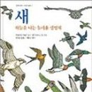 샐가 이미지