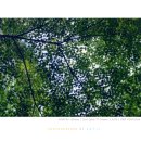 별을 담다 이미지