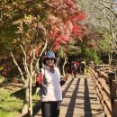 산수원 | 태안 백화산을다녀오다